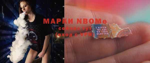 сатива Абинск