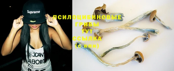 винт Абаза