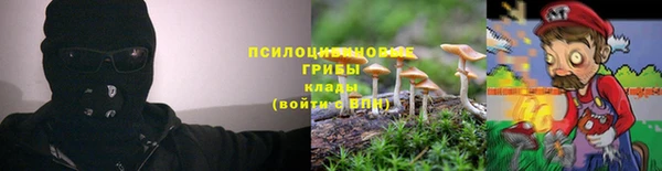 винт Абаза