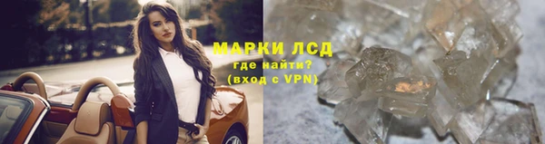 сатива Абинск