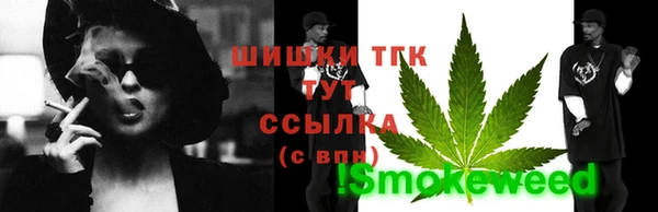 сатива Абинск