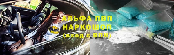 сатива Абинск