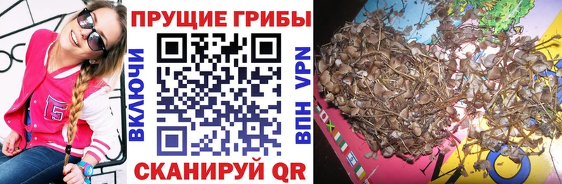 blacksprut вход  Хабаровск  Галлюциногенные грибы MAGIC MUSHROOMS 