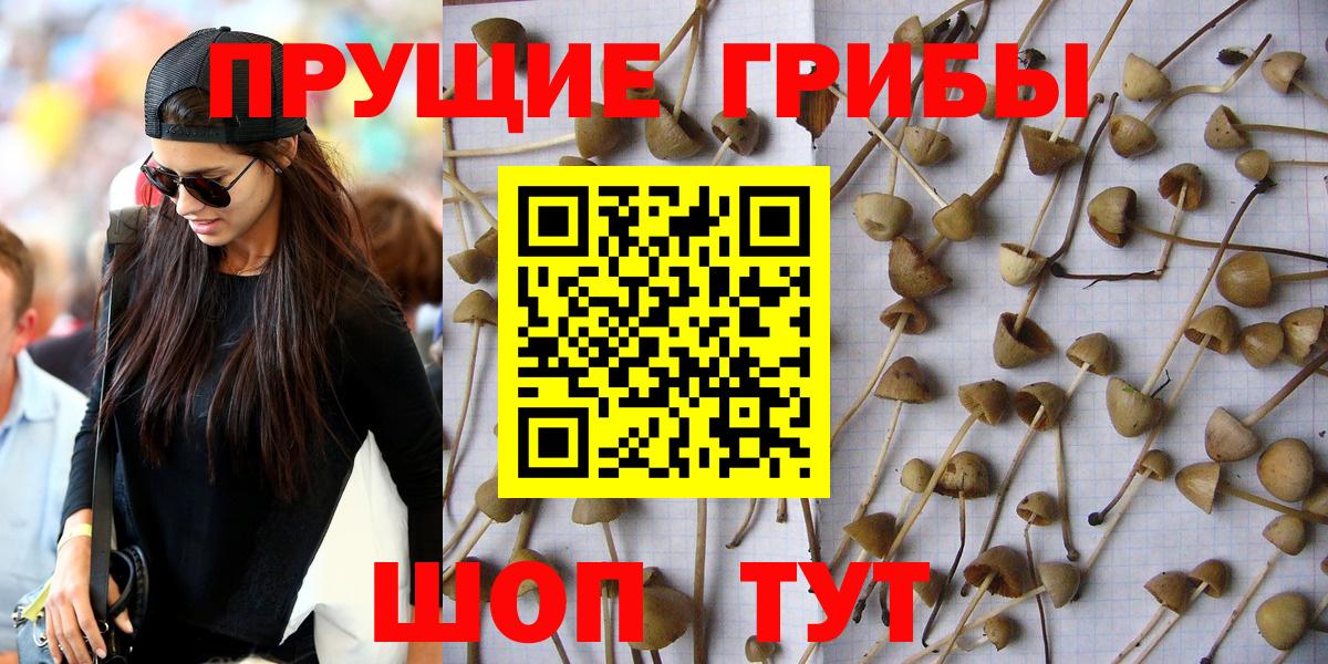 Псилоцибиновые грибы мухоморы  Вход с VPN  где найти наркотики  Хабаровск 