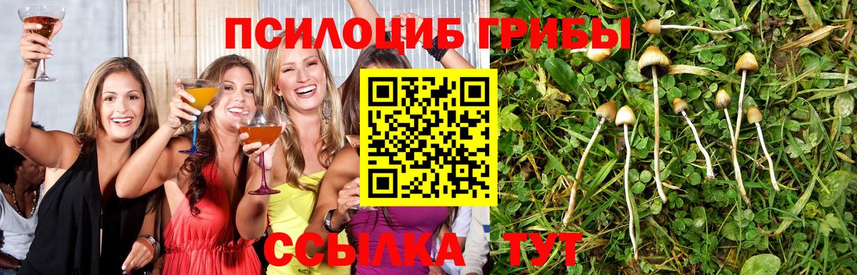 Псилоцибиновые грибы ЛСД Хабаровск